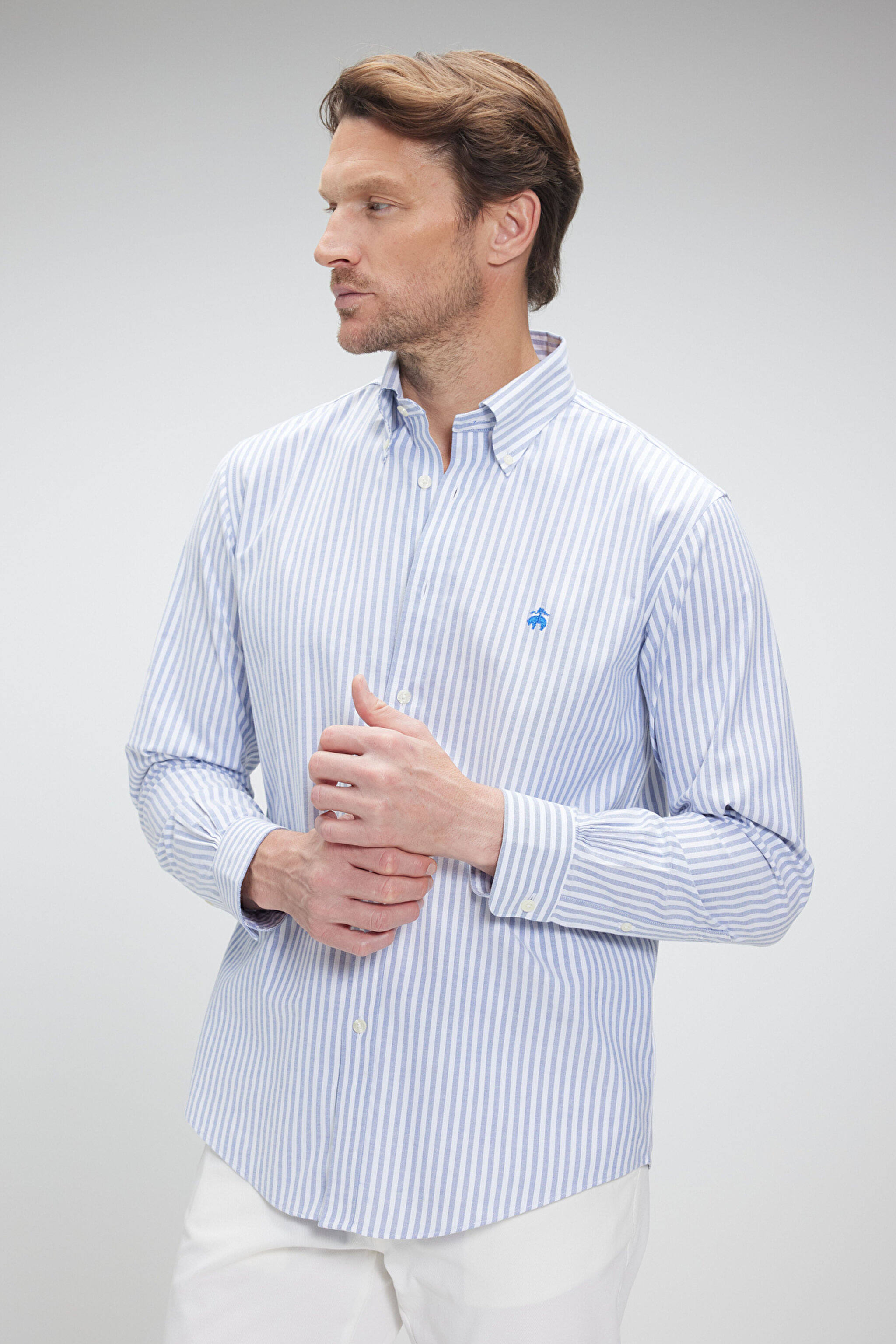 Pamuklu Regular Fit Non-Iron Gömlek - Mavi Çizgili (görsel 2)