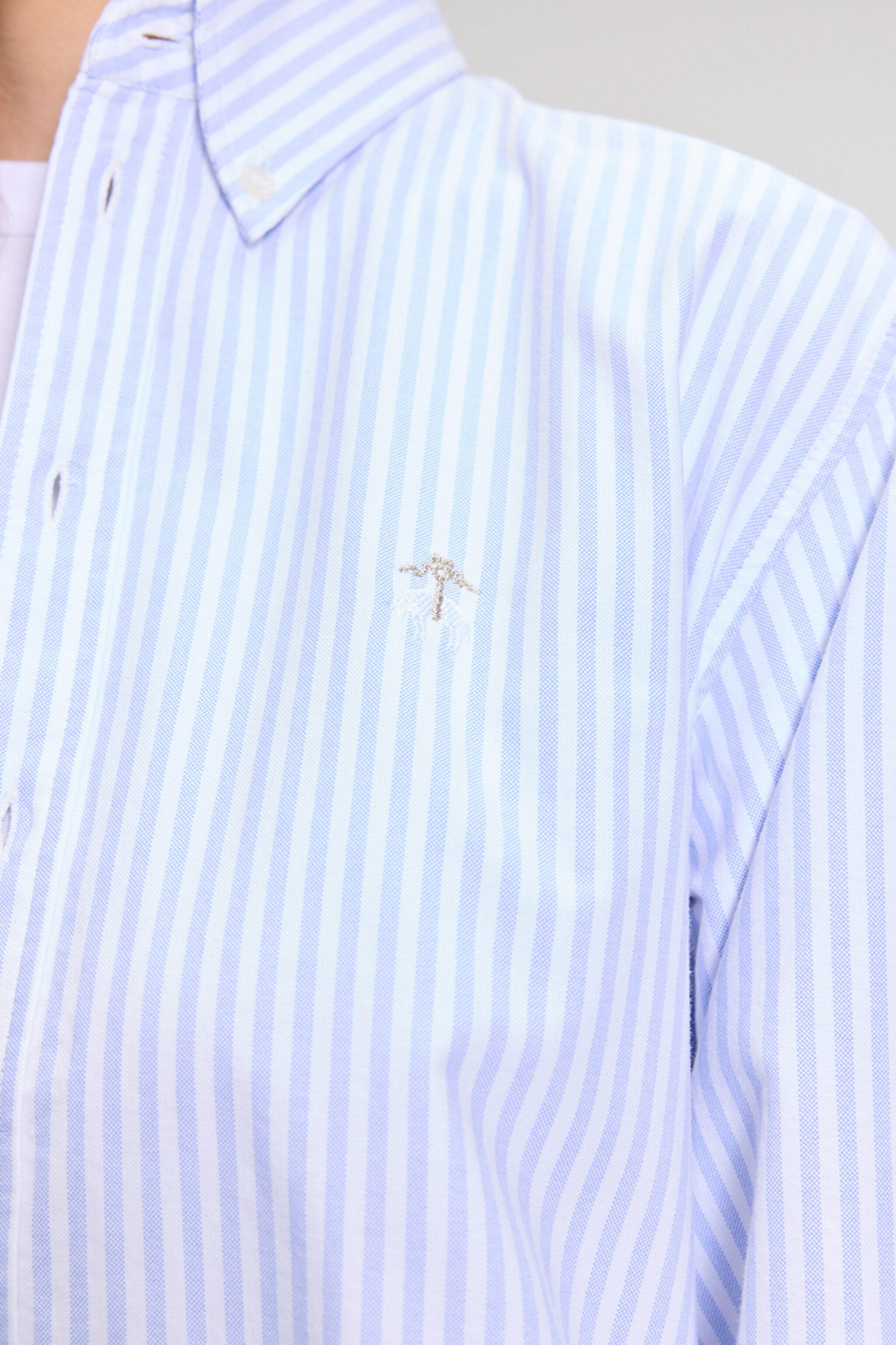 %100 Pamuk Logo Nakışlı Regular Fit Çizgili Oxford Gömlek - Mavi-Beyaz (görsel 4)