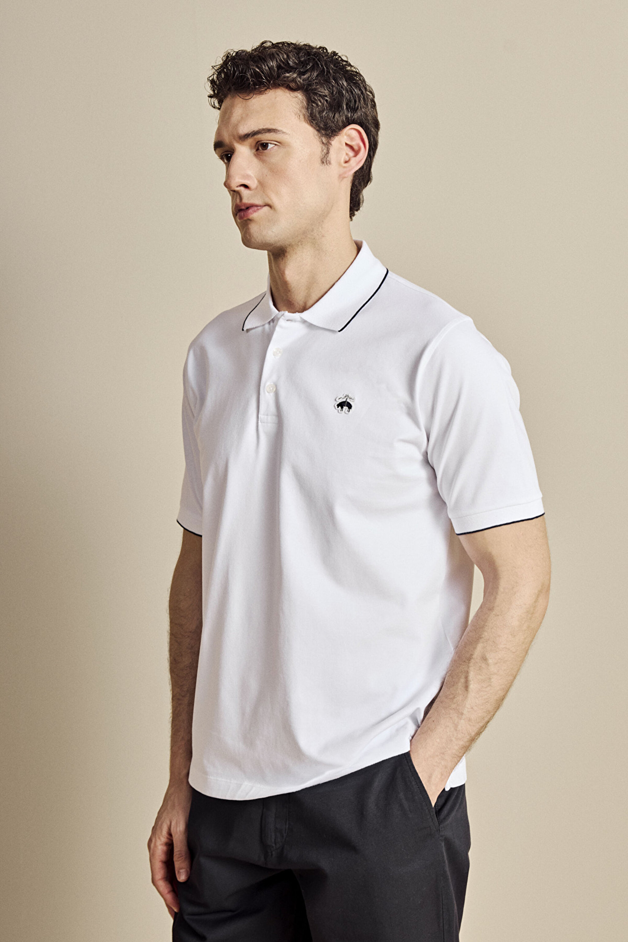 Pamuk Karışımlı Polo Yaka Düğmeli Yakası Çizgili Tshirt - Beyaz (görsel 2)