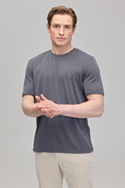 Bisiklet Yaka Logo Nakışlı Basic Tshirt - Gri (görsel 2)