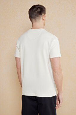 Kolu Patch Logolu Bisiklet Yaka Erkek T-Shirt - Bej (görsel 4)